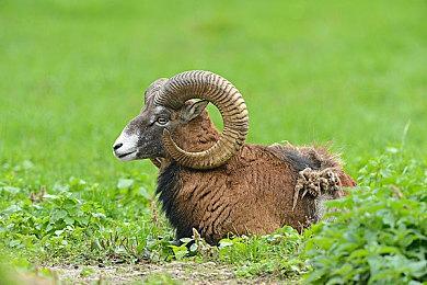 《双人成行》冬促期间同时在线玩家数量再创新高